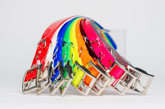 Replacement AKC or ARHA Field Trial Collars - Single Collar