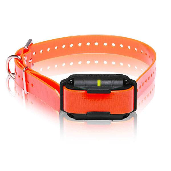 Dogtra 2300 NCP - Add On Dog Device - OKIE DOG SUPPLY