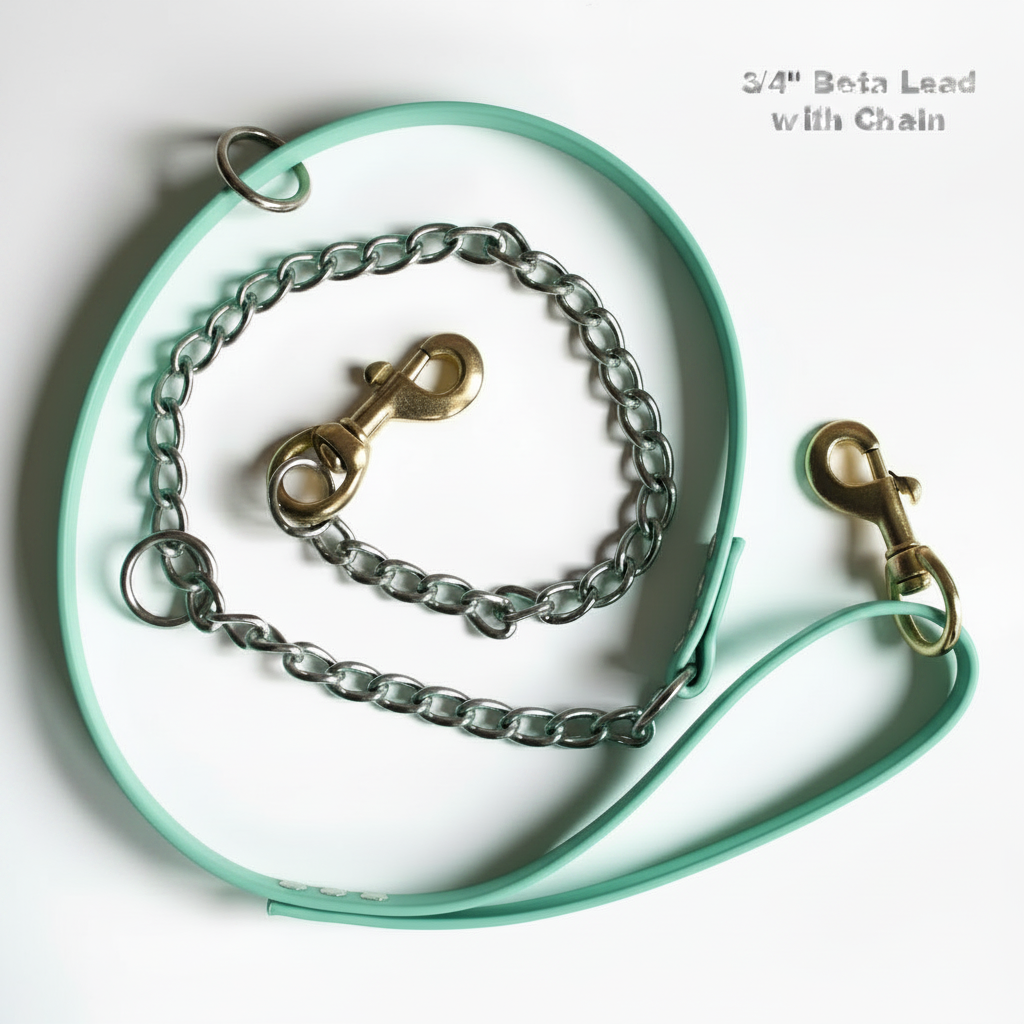 BETA LEAD WITH CHAIN MINT