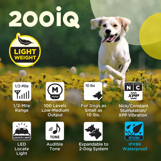 Dogtra 200 iQ