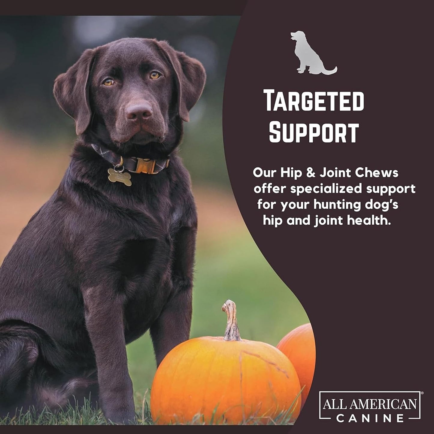 Hip & Joint Support Soft Chews