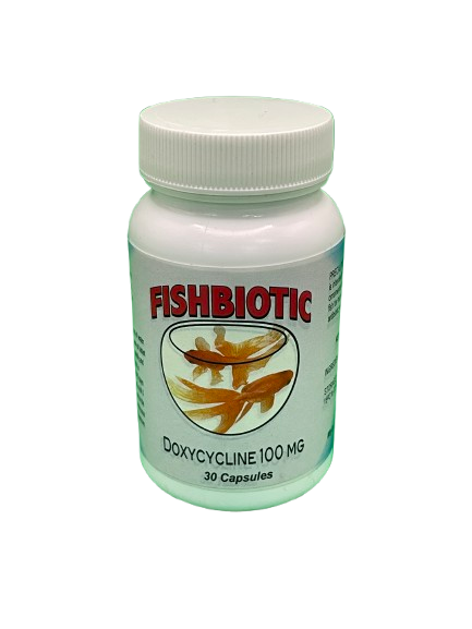 fish doxycycline capsultes