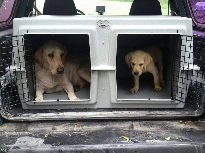 Easy Loader Kennel - EZ XL - OKIE DOG SUPPLY