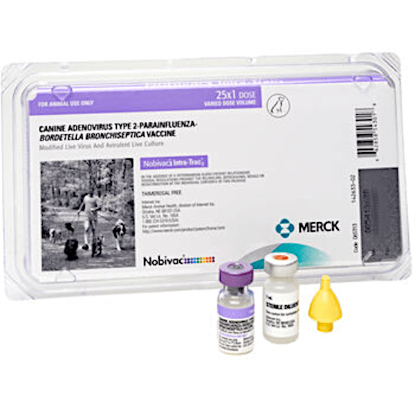 Vaccine - Nobivac Intra-Trac 3 - Kennel Cough - 25 dose pack - OKIE DOG SUPPLY