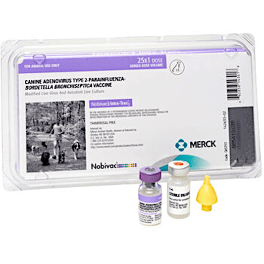 Vaccine - Nobivac Intra-Trac 3 - Kennel Cough - 25 dose pack - OKIE DOG SUPPLY