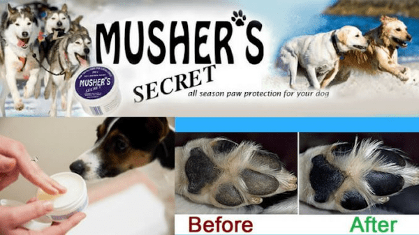 Mushers Secret - Ultimate Pad Protection - OKIE DOG SUPPLY