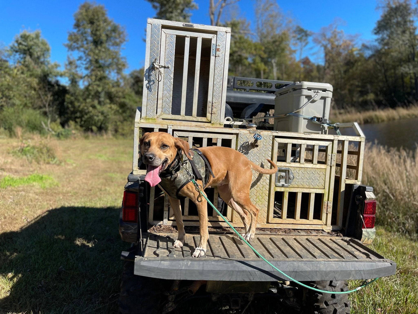 SC Strike Vest Gen. 2.0- Collar Separate Lightweight - OKIE DOG SUPPLY