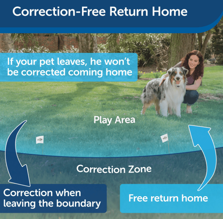 PetSafe Stay and Play Compact Wireless Fence - OKIE DOG SUPPLY