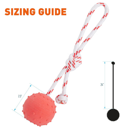 FDT Solid Rubber Dog Ball - Water Toy with Rope