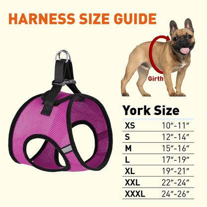 York Mesh Harness