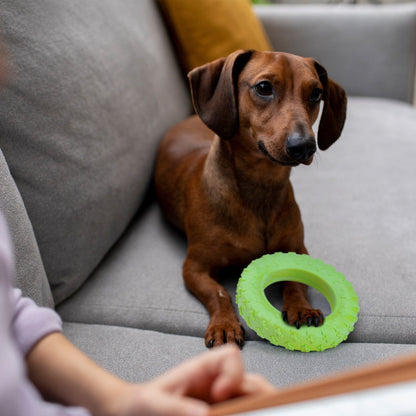 Rubber Tire Toy