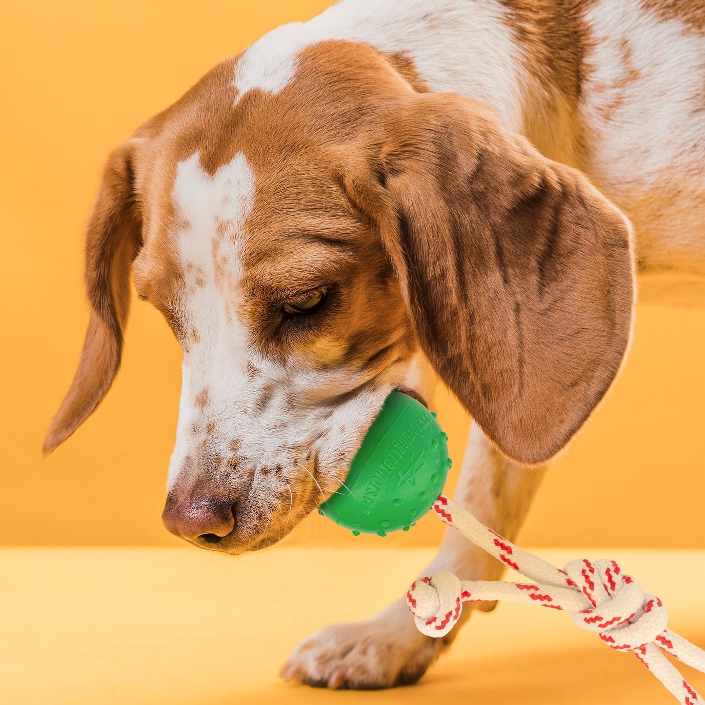 FDT Solid Rubber Dog Ball - Water Toy with Rope