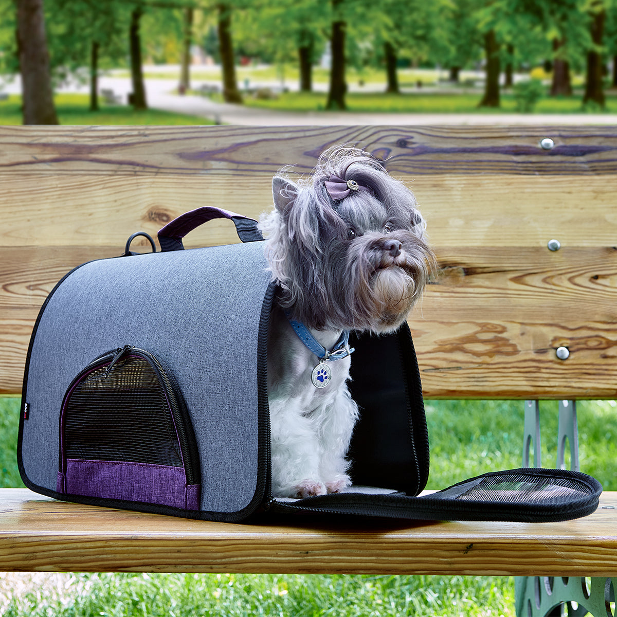 Dual Color Collapsible Pet Carrier