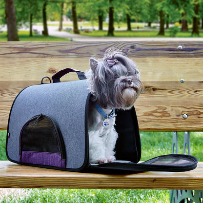 Dual Color Collapsible Pet Carrier