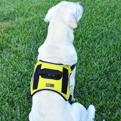 Dogline Quest Multi-Purpose No Pull Dog Harness