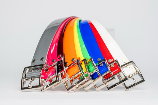 Field Trial Collars - 1.5 Inch Wide - No D-Ring - 6 Pack