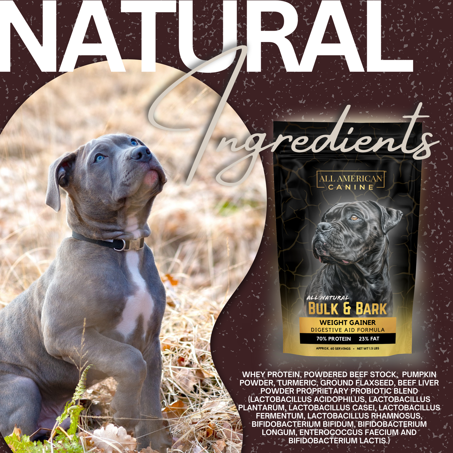 Bulk & Bark Weight Gainer + Digestive Aid Food Topper