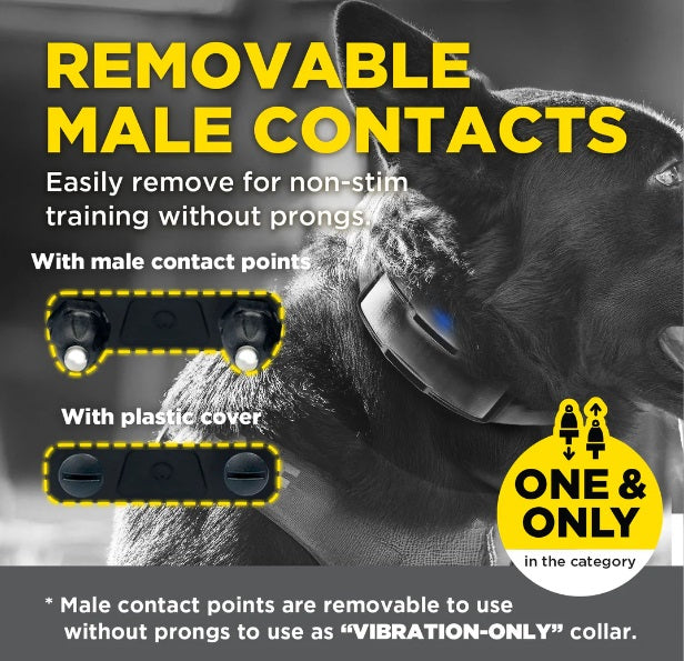 Dogtra 1900X Black Edition