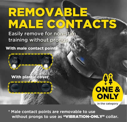 Dogtra 1900X Black Edition