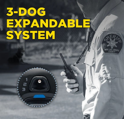 Dogtra 1900X Black Edition