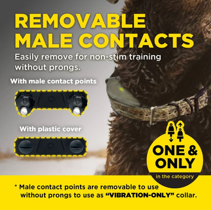 Dogtra 1900X Camoflauge