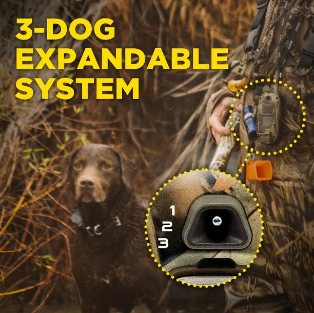 Dogtra 1900X Camoflauge