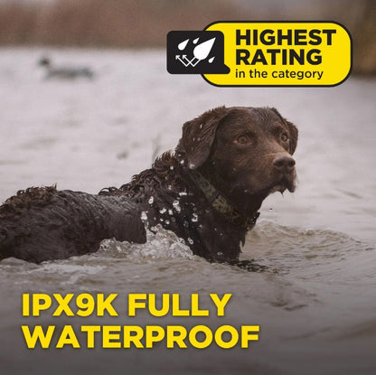 Dogtra 1900X Camoflauge