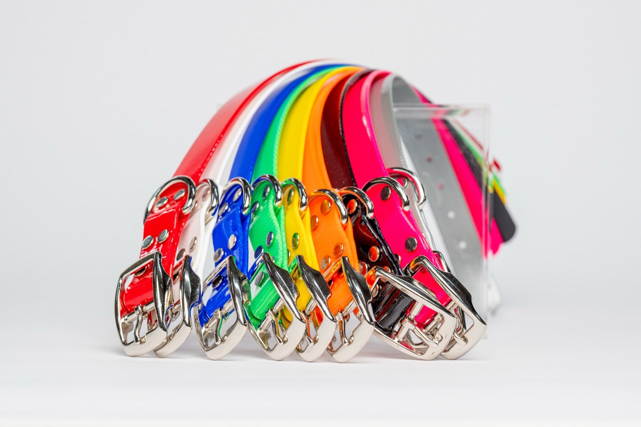 1 Inch Wide Dog Collars - All Materials and Lengths