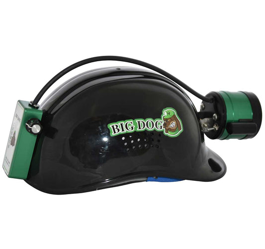 Big Dog Genesis Plus Light