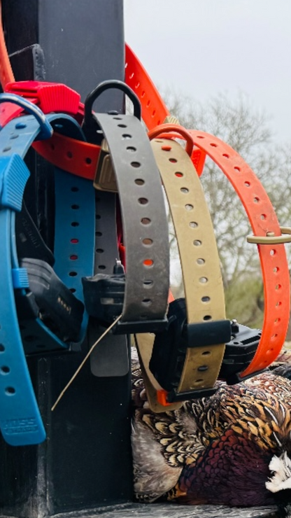 A close-up of several dog collars in different colors (blue, red, black, tan, orange) hanging on a black post, with a pheasant lying on the ground in the background.
