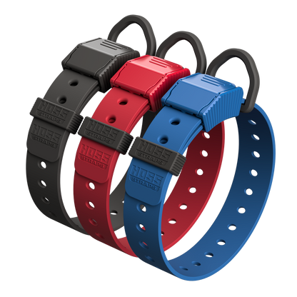 Three dog collars in black, red, and blue on a white background