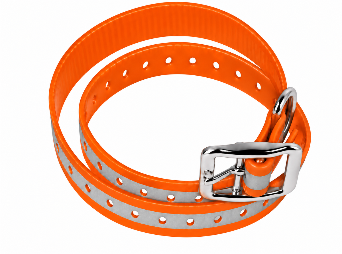 3/4 inch ecollar reflective orange