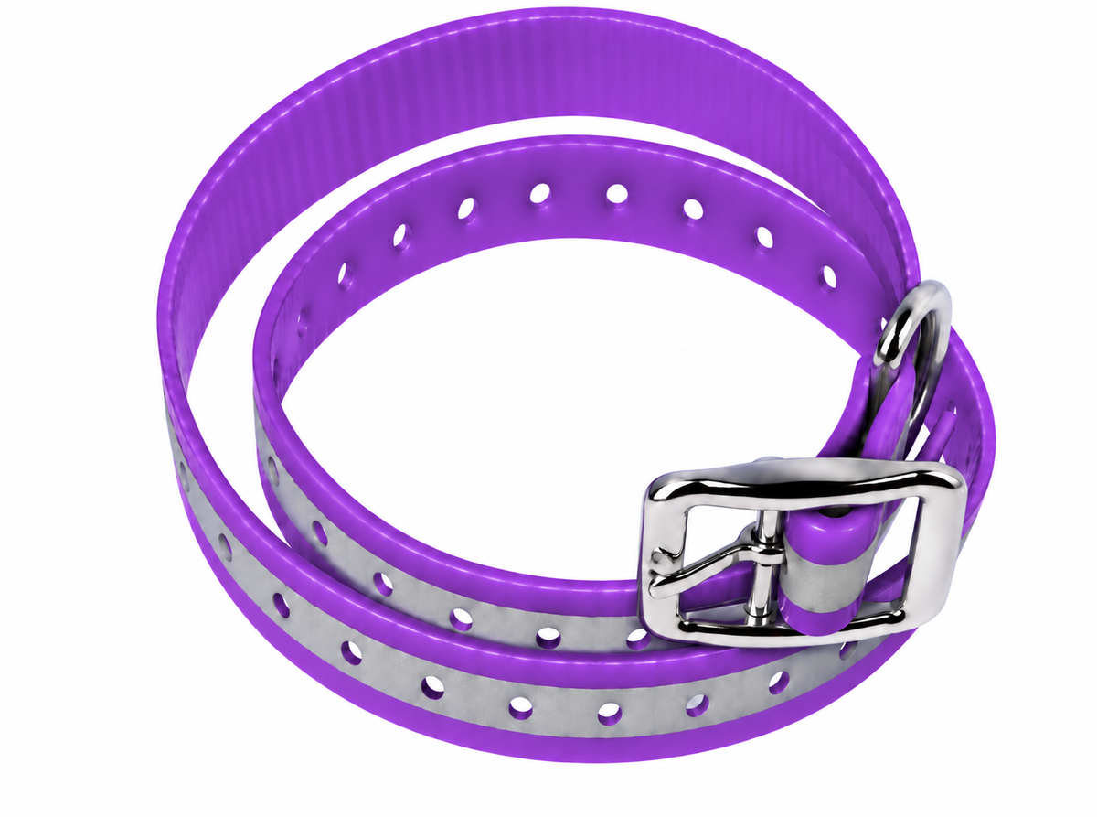 3/4 inch ecollar reflective purple