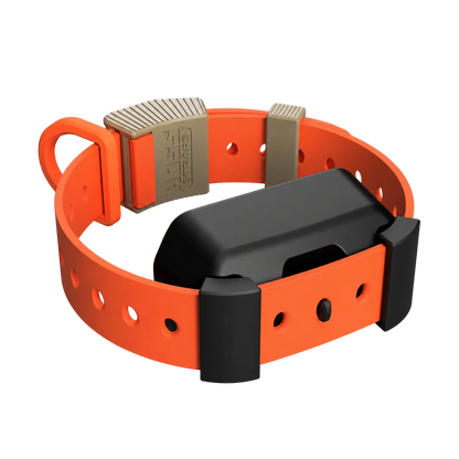 An orange silicone dog collar with a black electronic transmitter and tan metal buckle, shown on a plain white background.