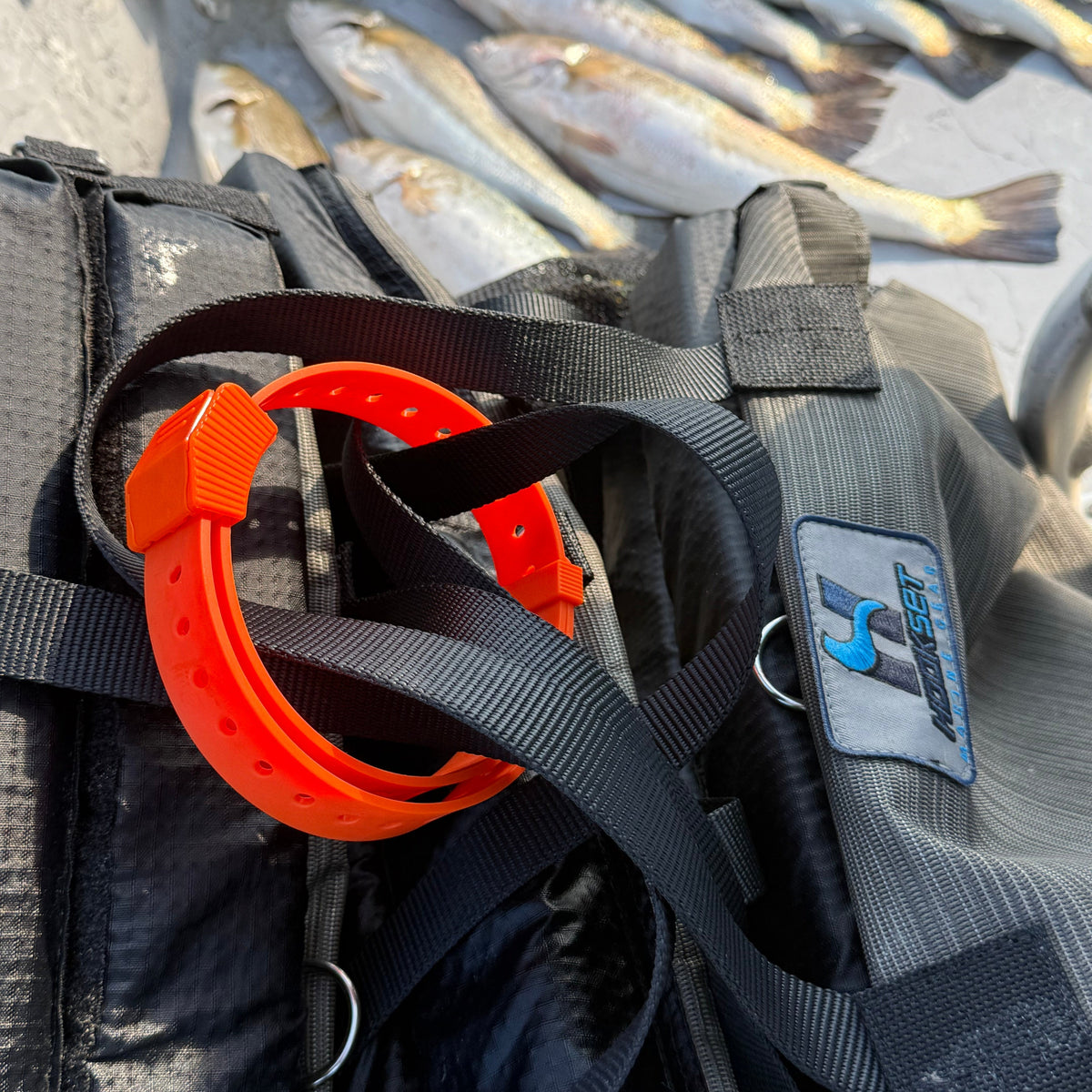 Hoss Gear Straps 24 Inch