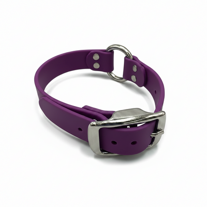 BETA COLLAR 1 INCH CTR ONLY PURPLE