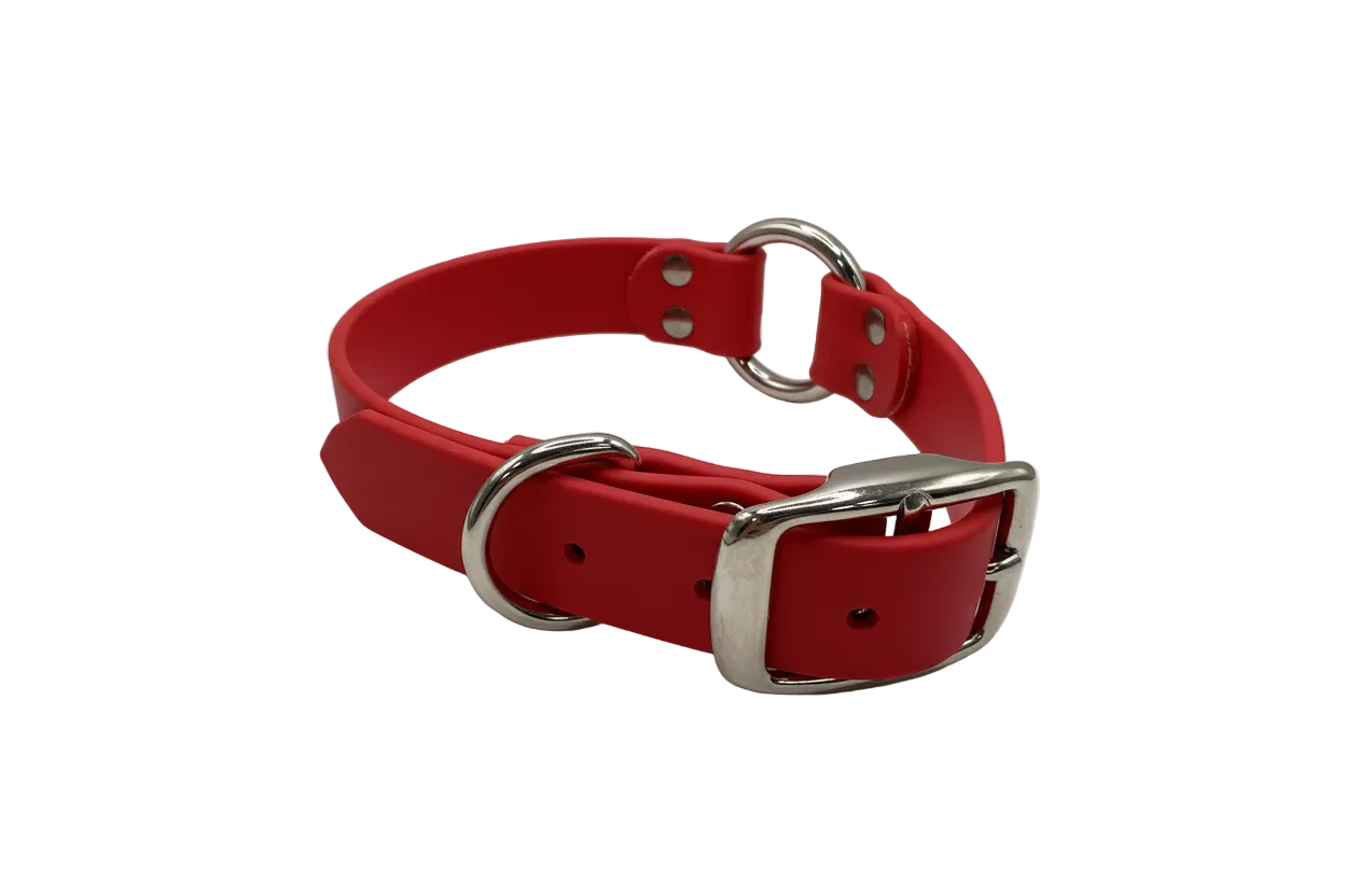 Collar - 1 Inch - Beta
