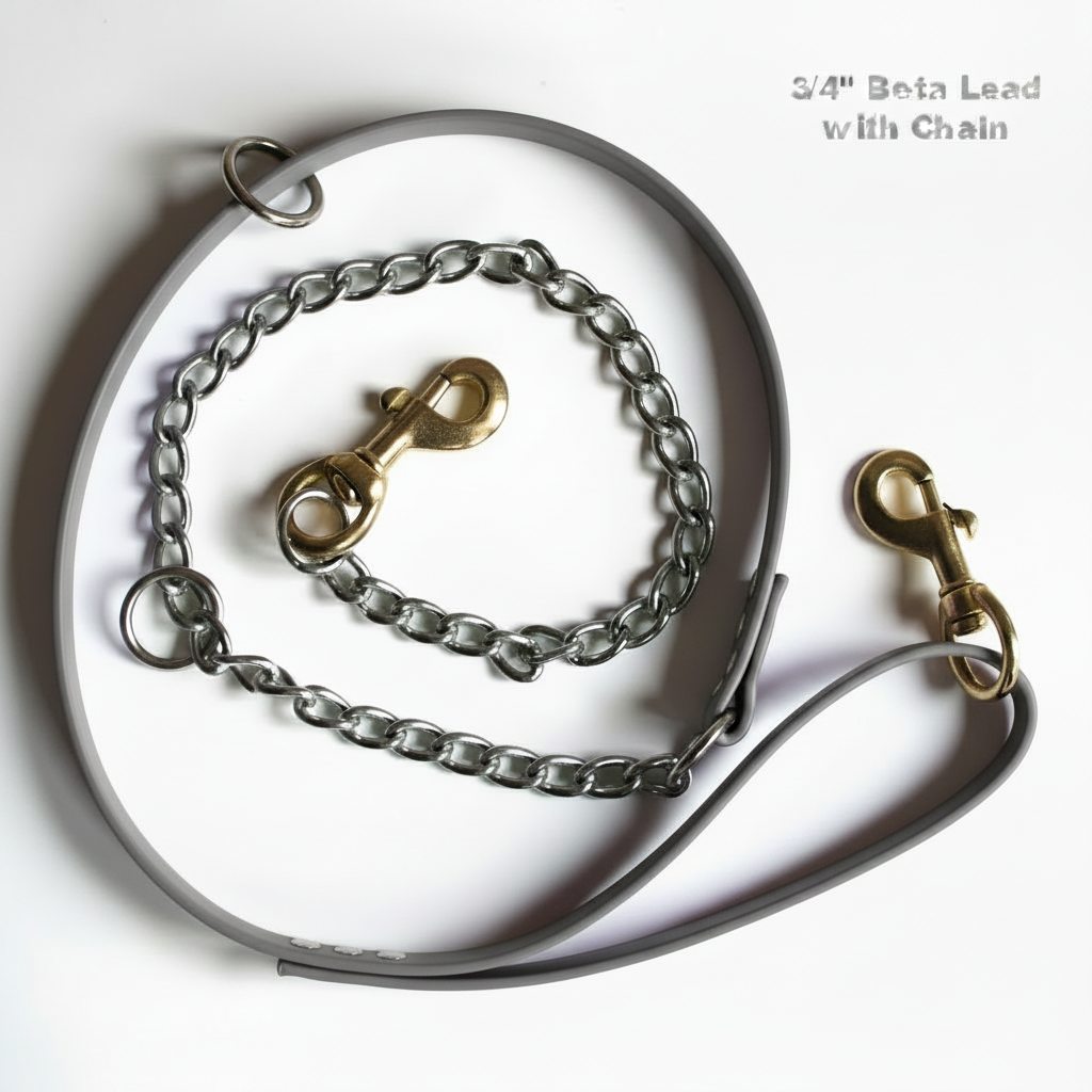 BETA LEAD WITH CHAIN SILVER