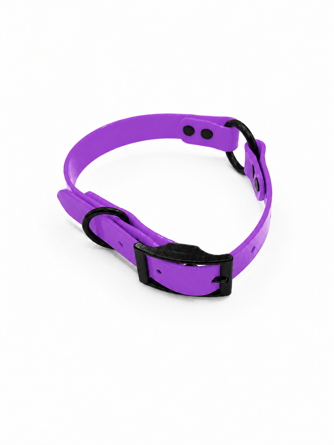 BLACK OPS COLLAR 3/4 INCH STND PURPLE