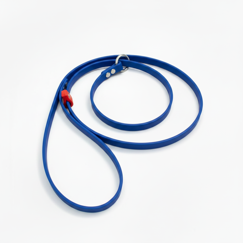 BLUE LEAD RED STOP
