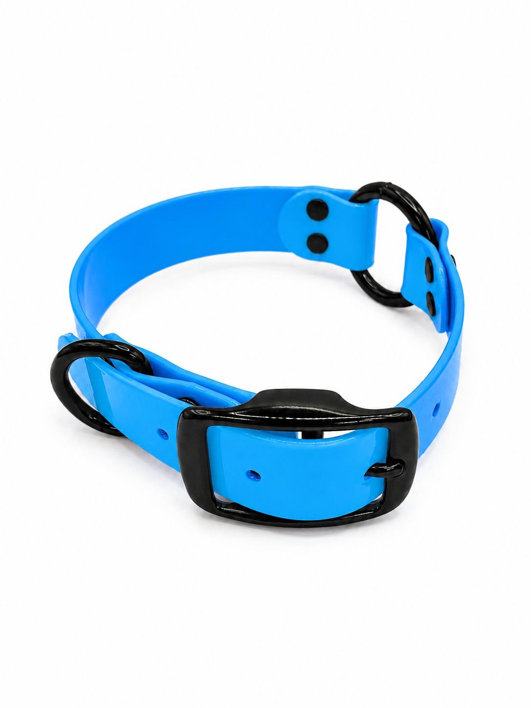 COLLAR 1 INCH BLACK OPS STND SOLID EBLUE