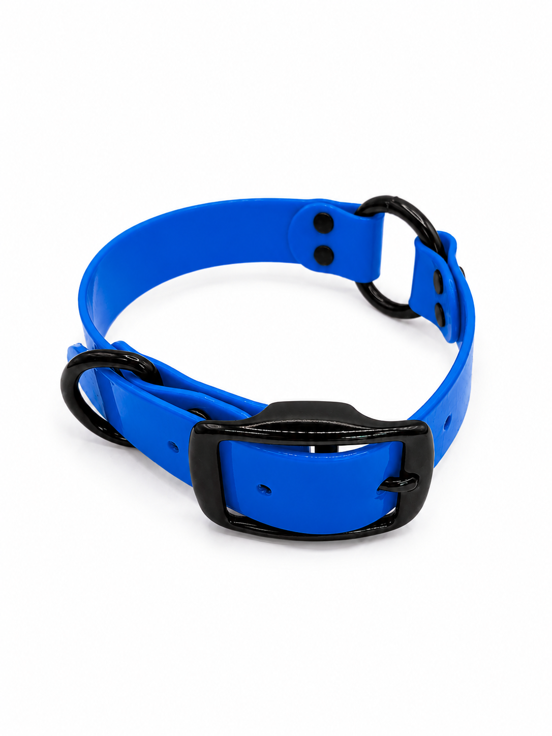 COLLAR 1 INCH BLACK OPS STND SOLID NBLUE
