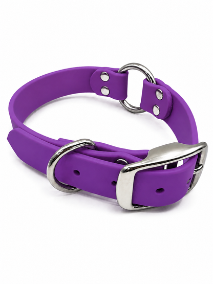 COLLAR BETA 1 STND PURPLE
