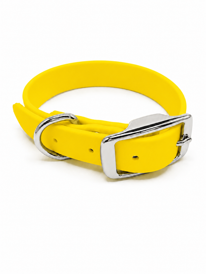 Collar - 1 Inch - Beta