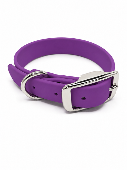 Collar - 1 Inch - Beta