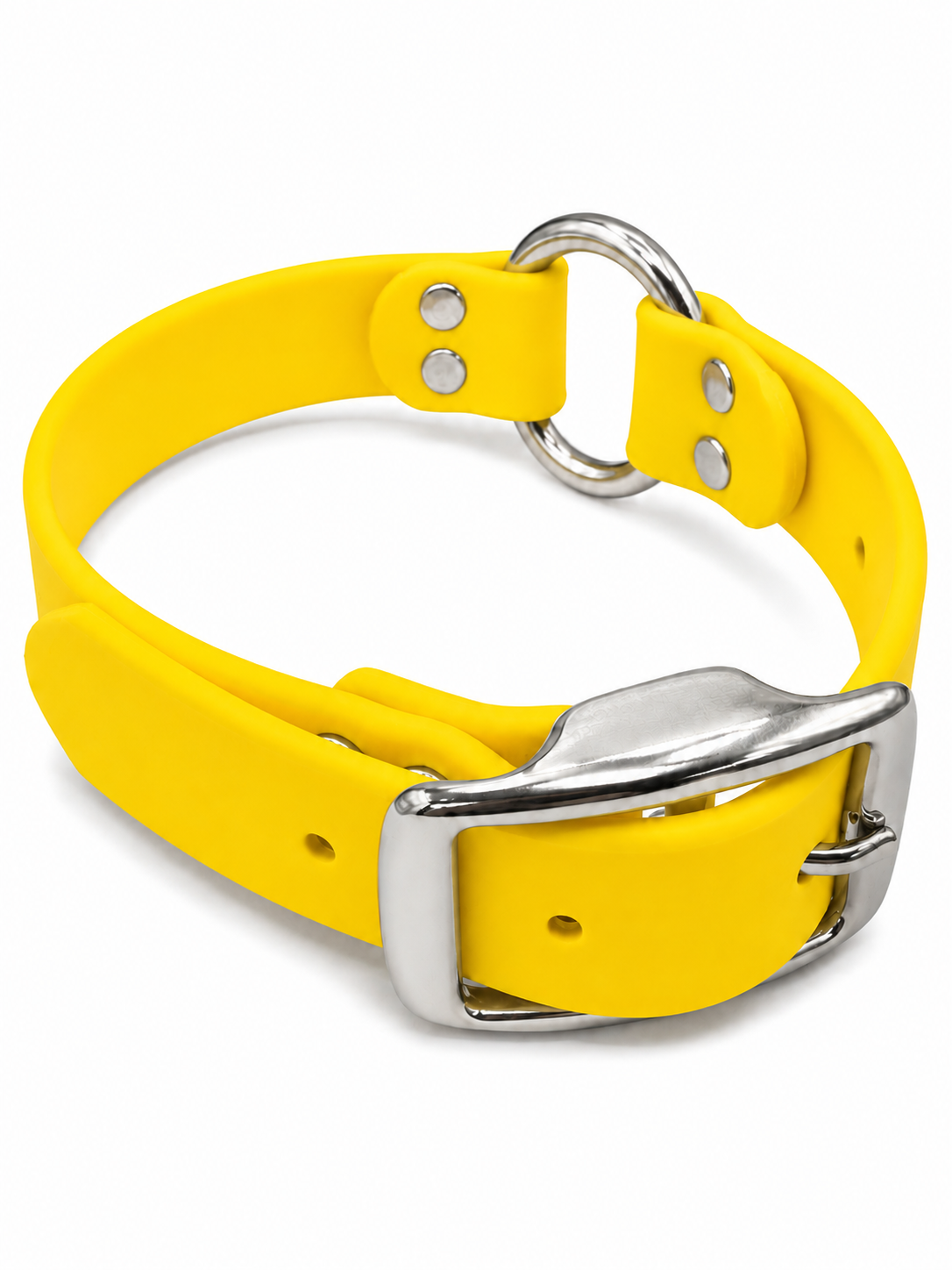 Collar - 1 Inch - Beta
