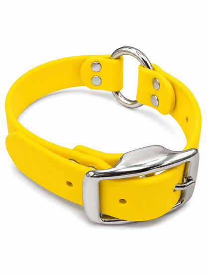 Collar - 1 Inch - Beta