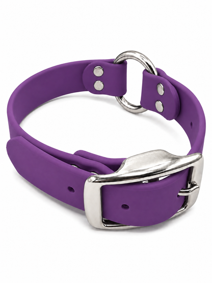Collar - 1 Inch - Beta