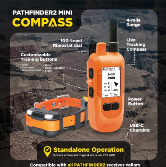 Compass bundle 2