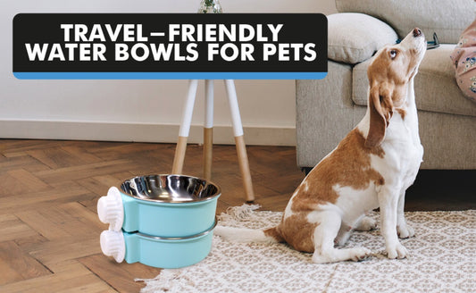 Travel friendly water bowls for pets
